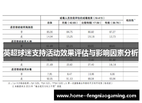英超球迷支持活动效果评估与影响因素分析