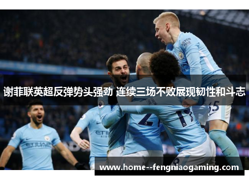 谢菲联英超反弹势头强劲 连续三场不败展现韧性和斗志