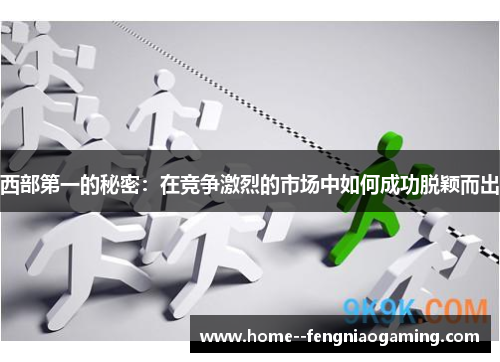 西部第一的秘密：在竞争激烈的市场中如何成功脱颖而出