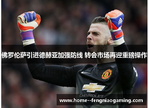 佛罗伦萨引进德赫亚加强防线 转会市场再迎重磅操作 佛罗伦萨引进德赫亚加强防线 转会市场再迎重磅操作