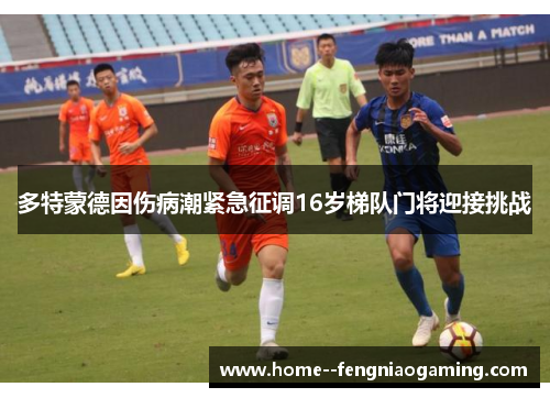 多特蒙德因伤病潮紧急征调16岁梯队门将迎接挑战 多特蒙德因伤病潮紧急征调16岁梯队门将迎接挑战