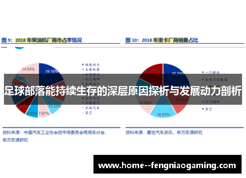 足球部落能持续生存的深层原因探析与发展动力剖析
