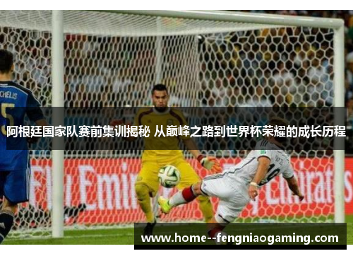 阿根廷国家队赛前集训揭秘 从巅峰之路到世界杯荣耀的成长历程